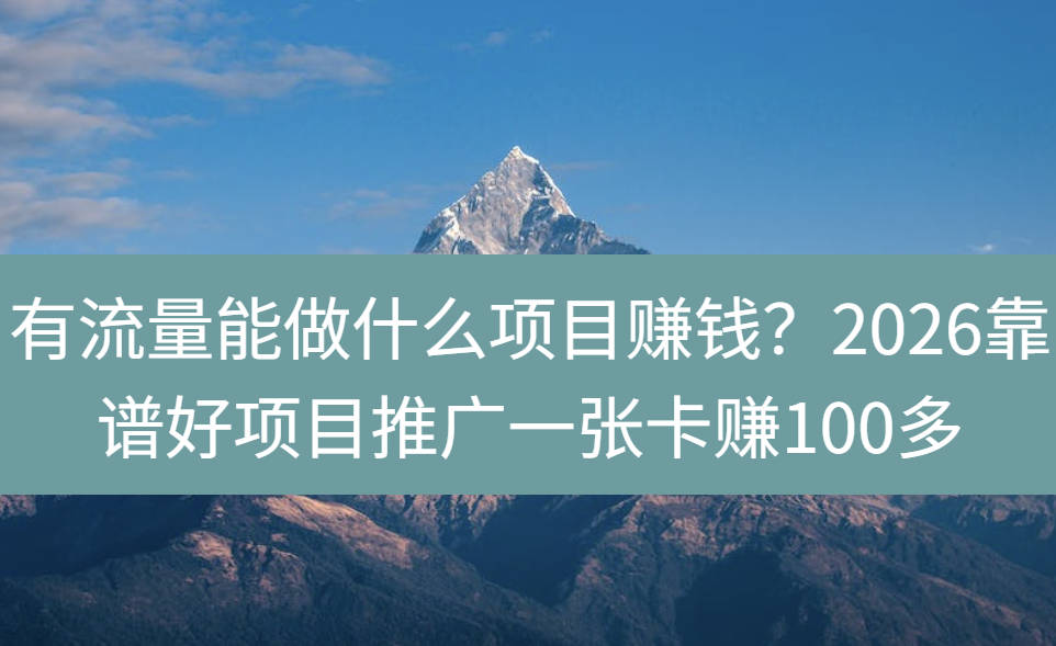 有流量能做什么项目赚钱？2026靠谱好项目推广一张卡赚100多