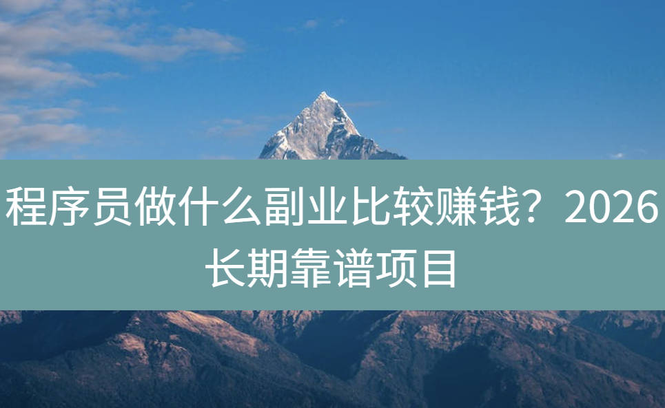 程序员做什么副业比较赚钱？2026长期靠谱项目